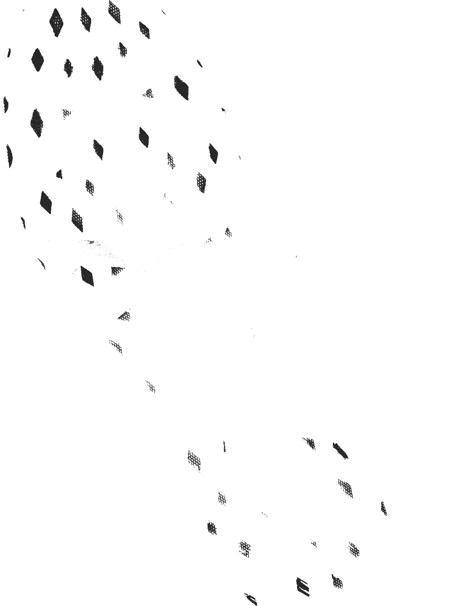 footprint